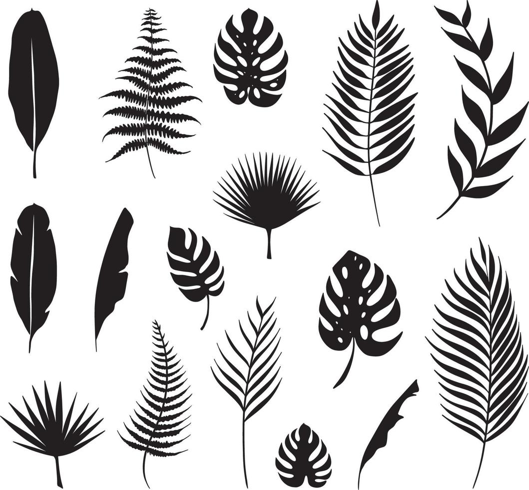 Tropical Plant Leaves Collection vector