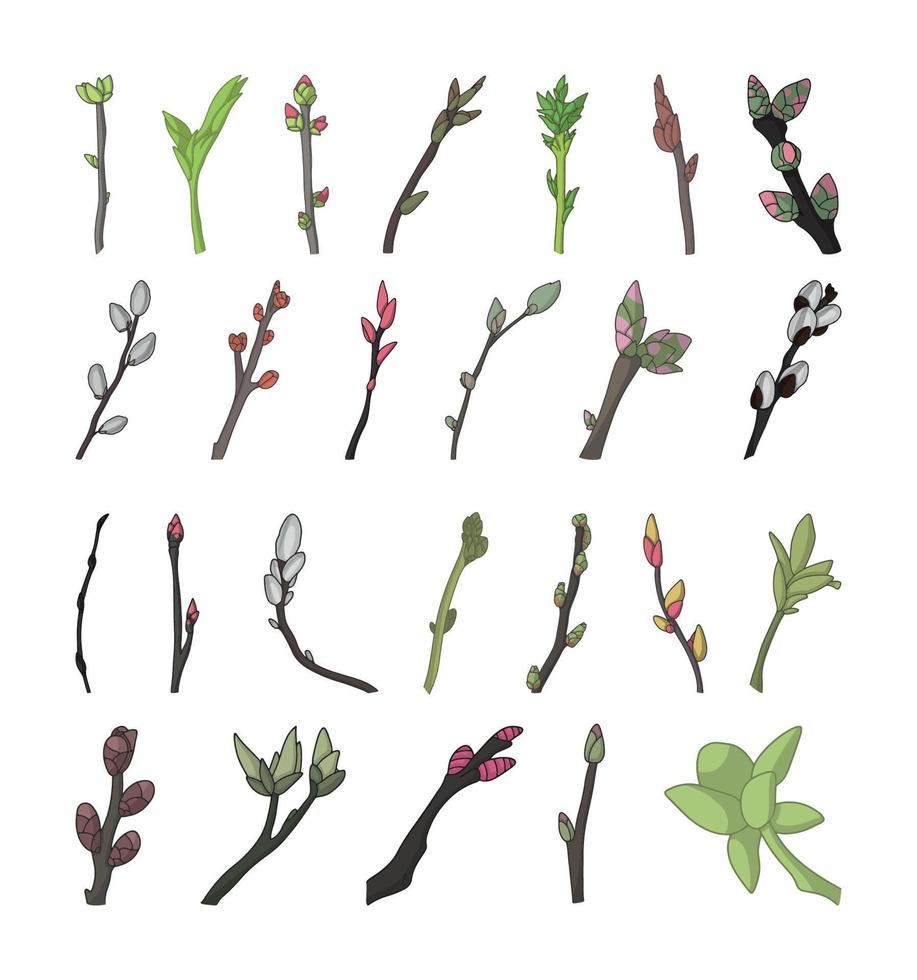 Set of Twigs vector