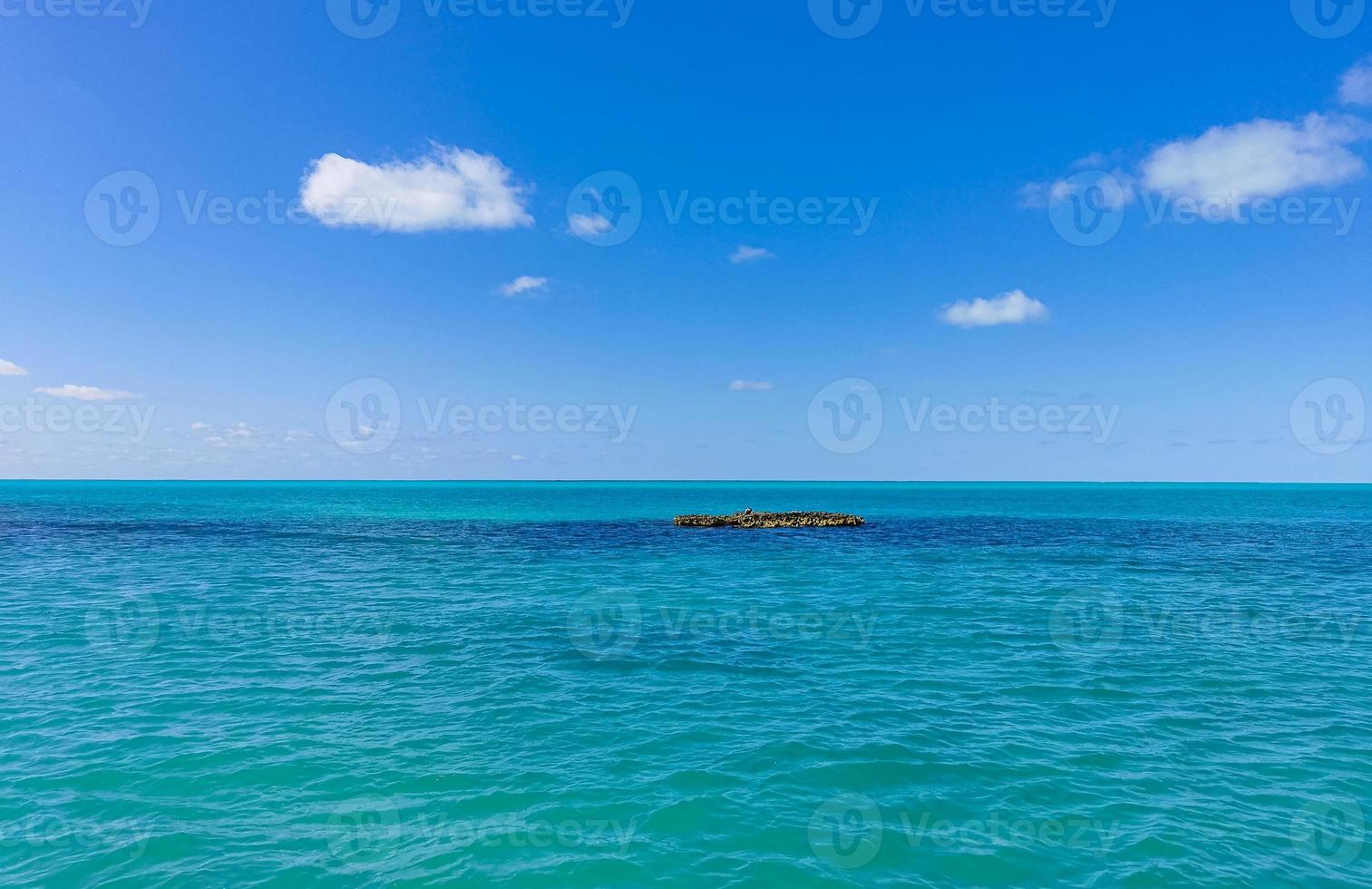 Beautiful tropical natural beach and forest panorama Contoy island Mexico. photo