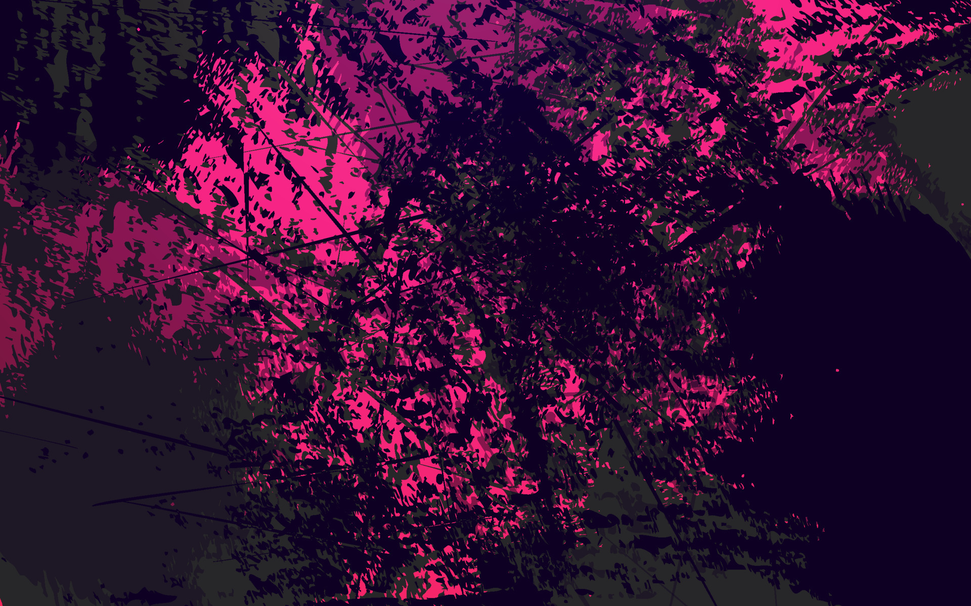 abstract-grunge-texture-black-and-magenta-color-background-10565373