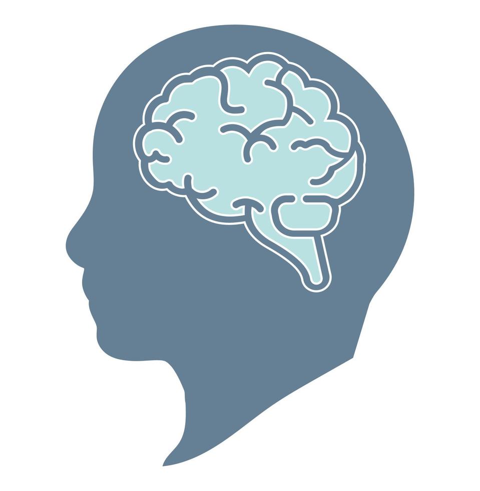 Brain in the human head think icon vector