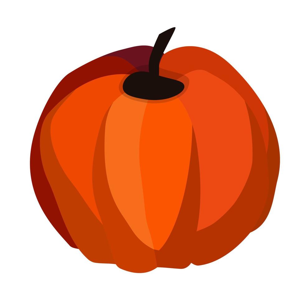 calabaza fresca. cosecha de otoño. ilustración vectorial vector