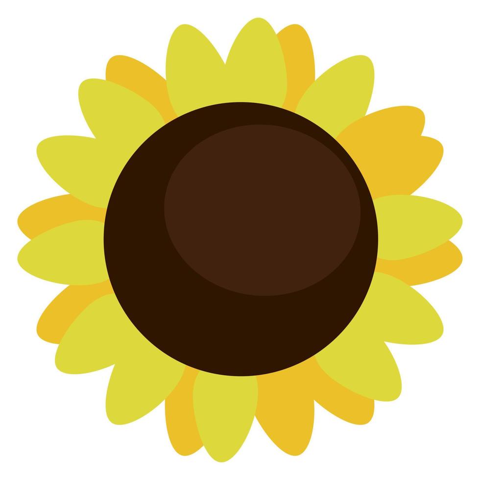 Sunflower Harvest. Vector cartoon illustration