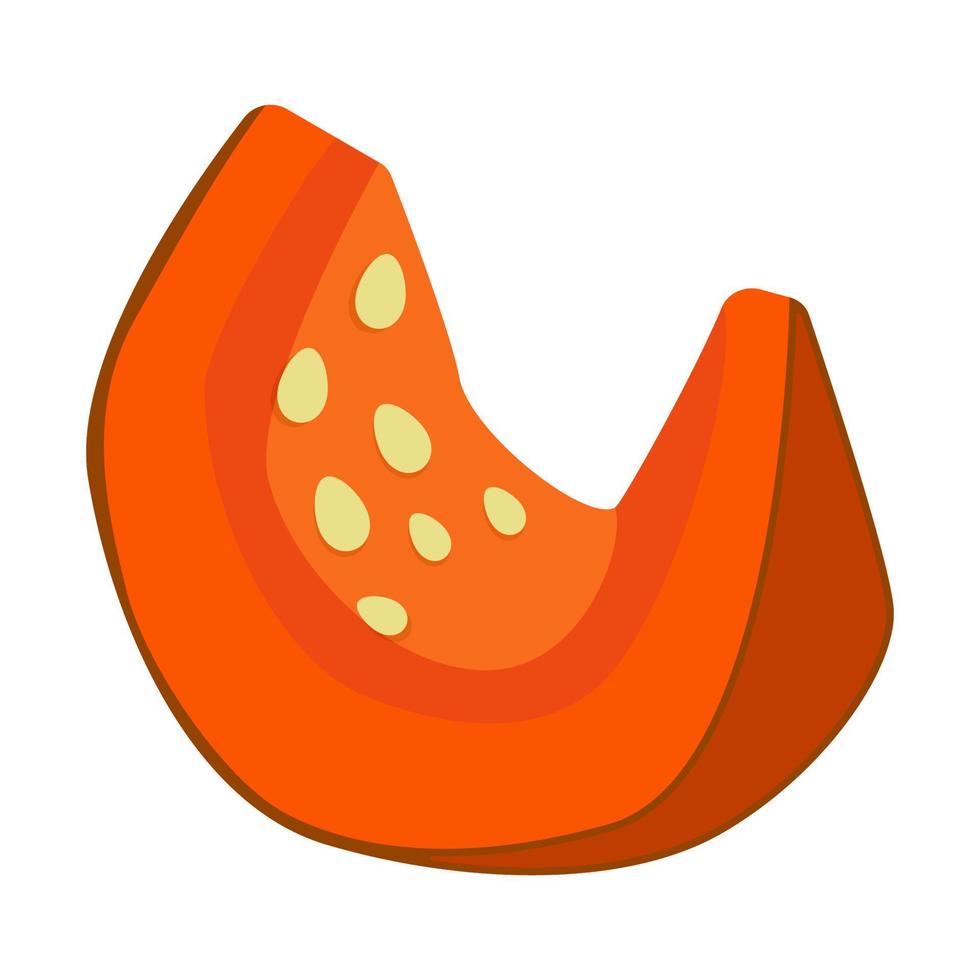 A fresh slice of pumpkin. Autumn harvest Vector illustration