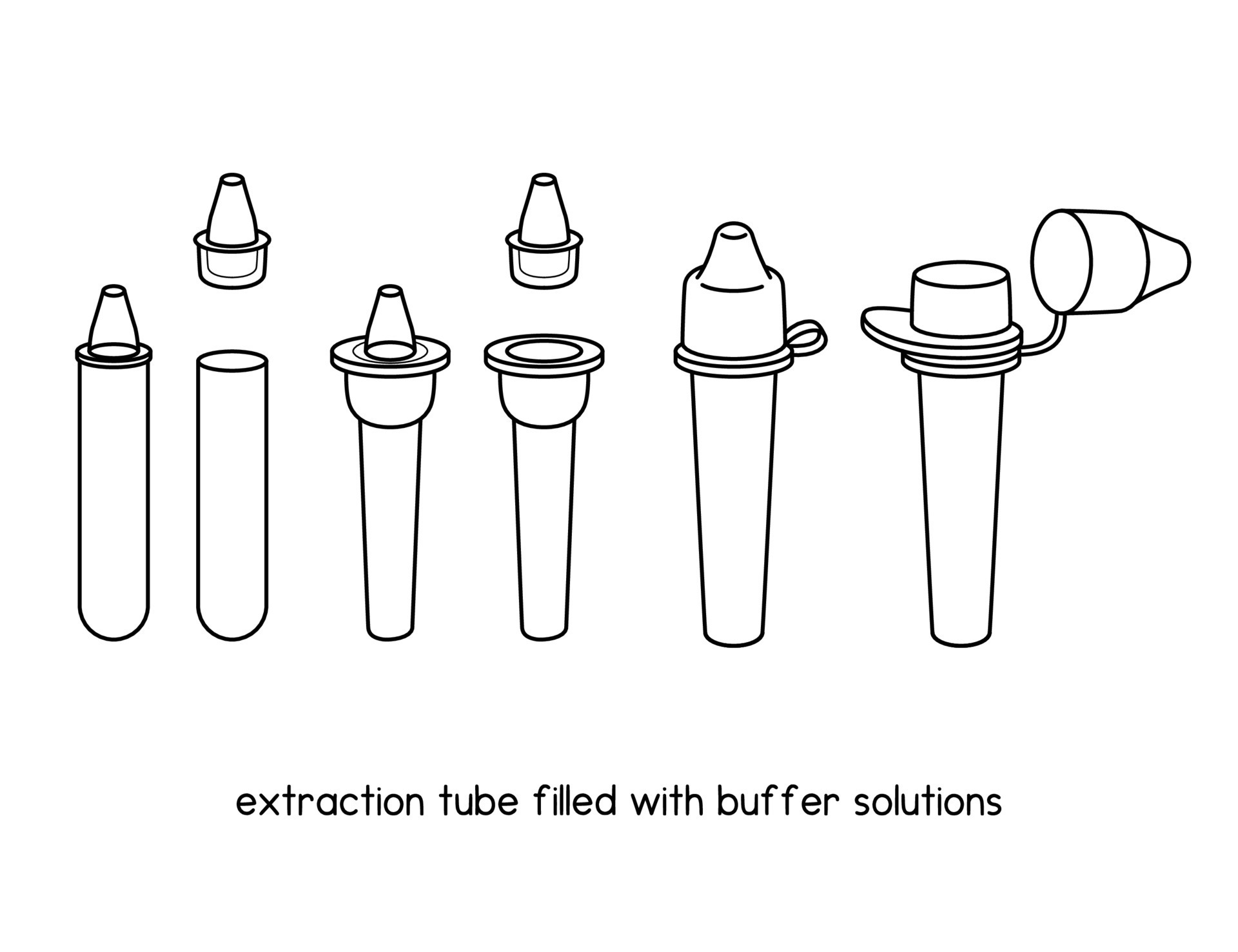 extraction tube filled with buffer solutions diagram for experiment setup lab outline vector