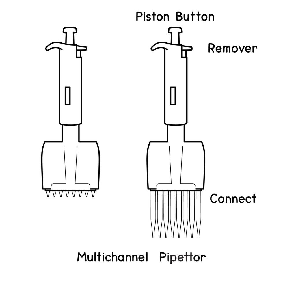 conjunto de micropipetas de laboratorio pipetas de transferencia ajustables controlador diagrama de pipetas multicanal de volumen fijo para la configuración del experimento esquema de laboratorio ilustración vectorial vector