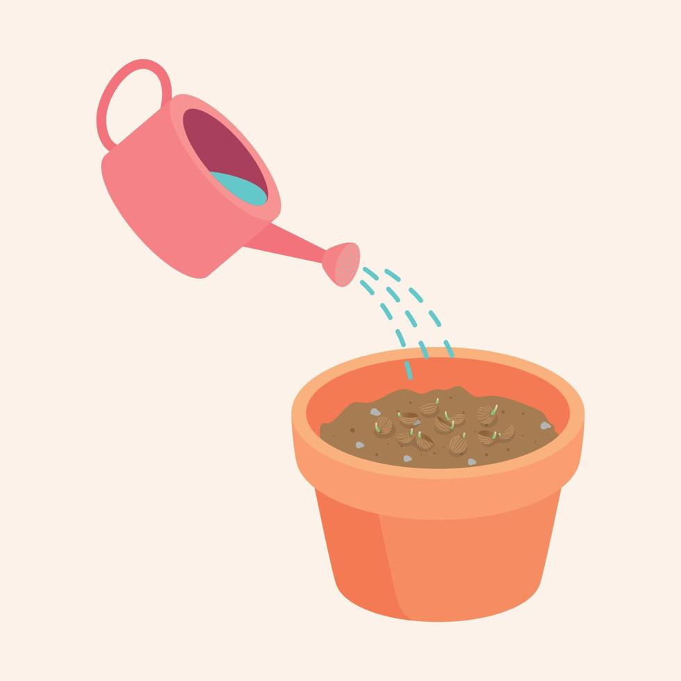 watering coriander Seeds in a pot are Growing up is a soft shoot Flat Vector illustration