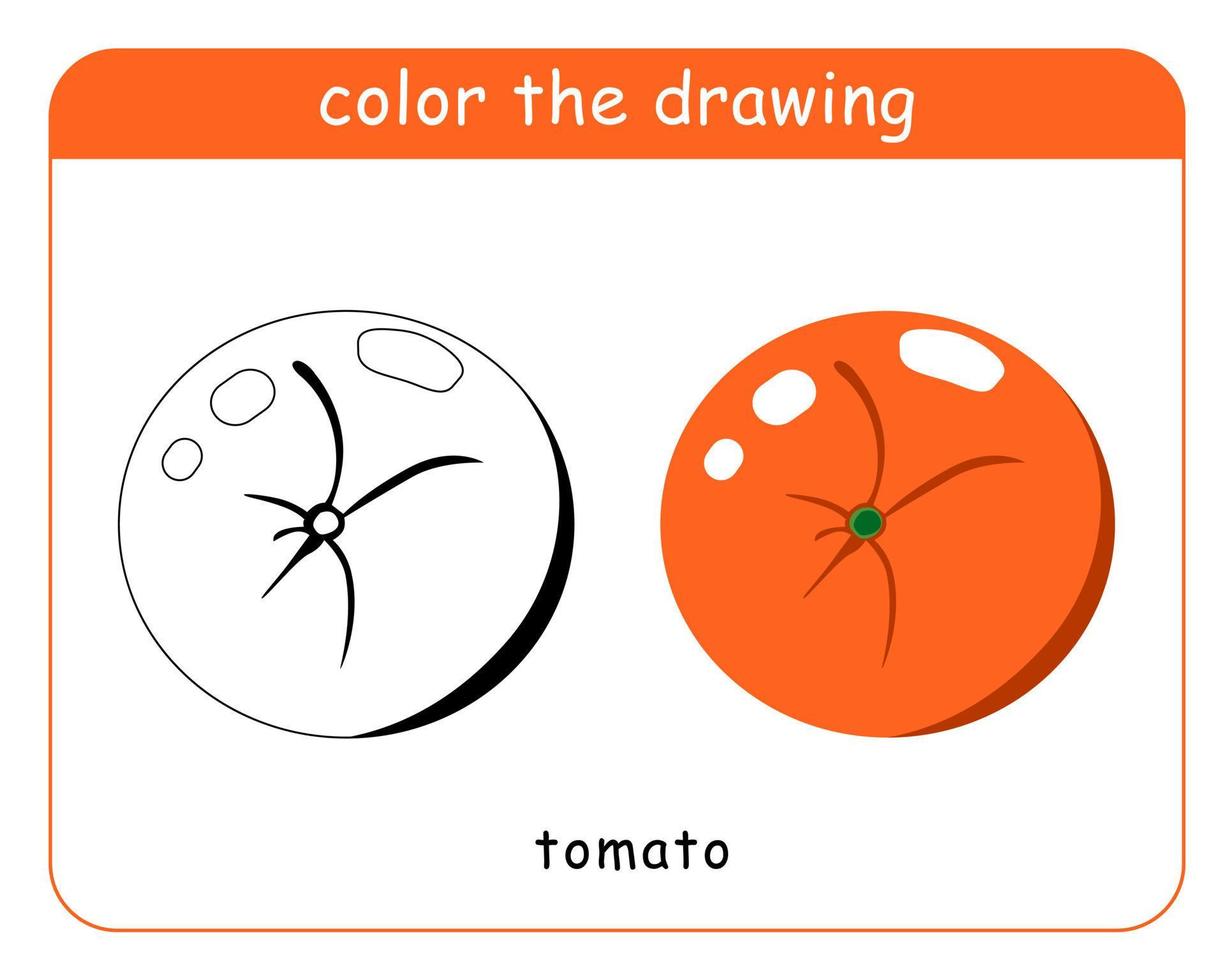 libro para colorear para niños. tomates en color y en blanco y negro. vector