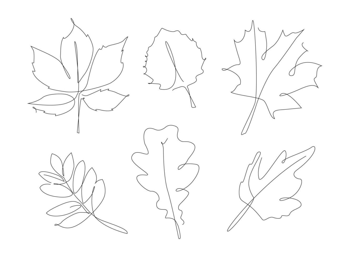 Forest leaves one line set. Autumn leaf linear collection. Simple outline leaves. vector