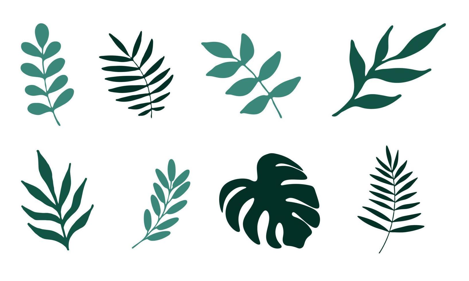 Green hand drown leaves set. vector