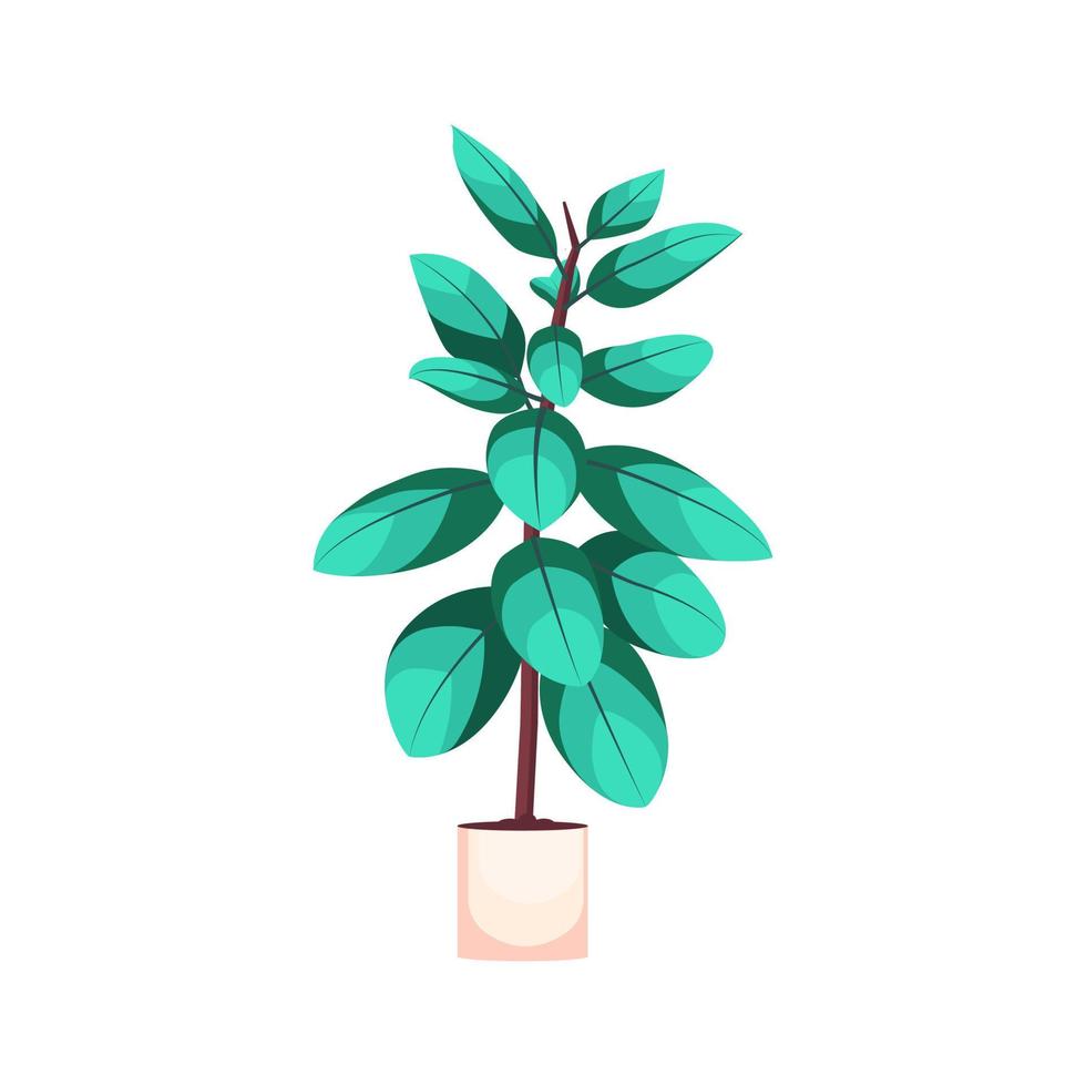 House tropical plant in pot. vector