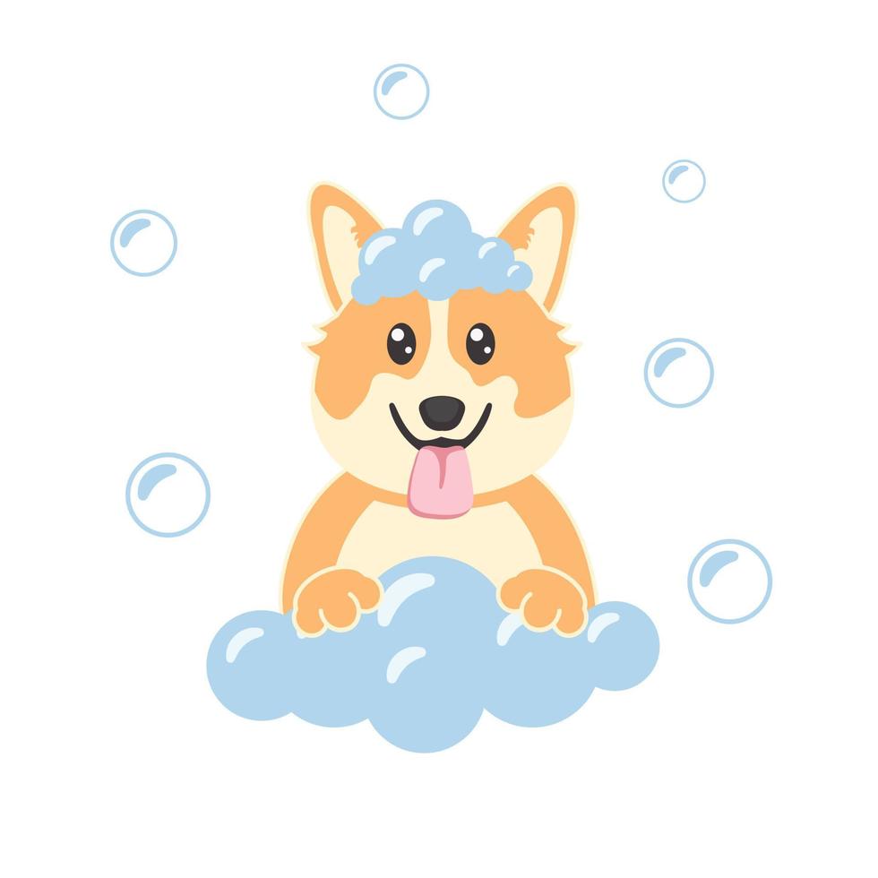 Dog bath. Poster for grooming salon. Cute design. vector