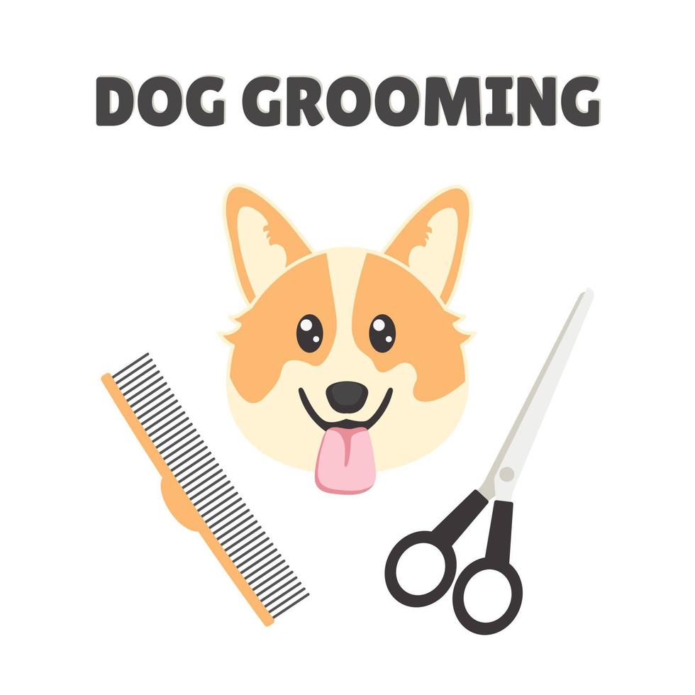 Dog grooming poster on white background with corgi and grooming equipment vector