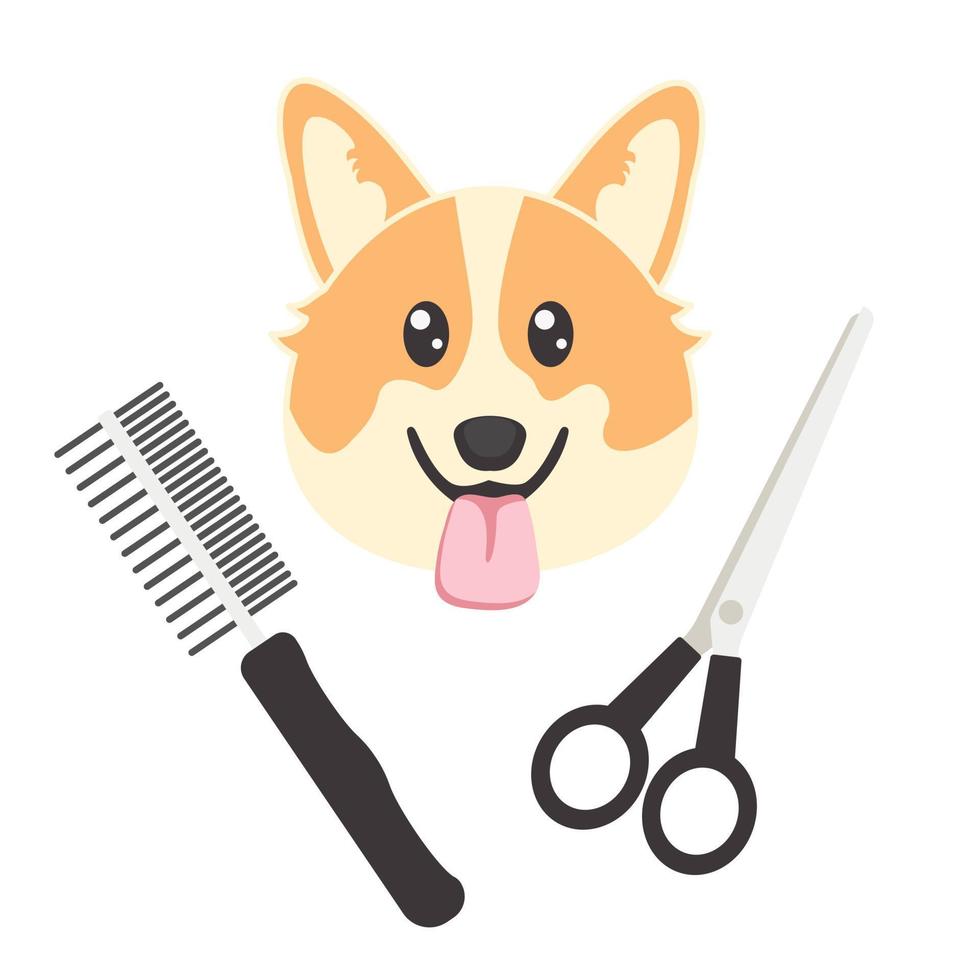Dog grooming poster on white background with corgi and grooming equipment vector