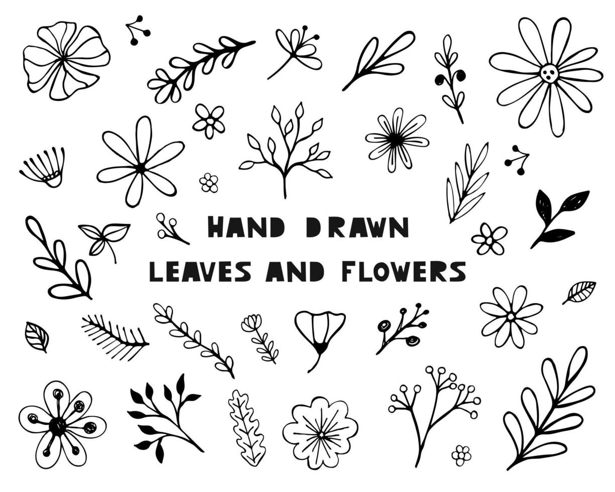 Hand drawn sketch flowers and leaves set vector