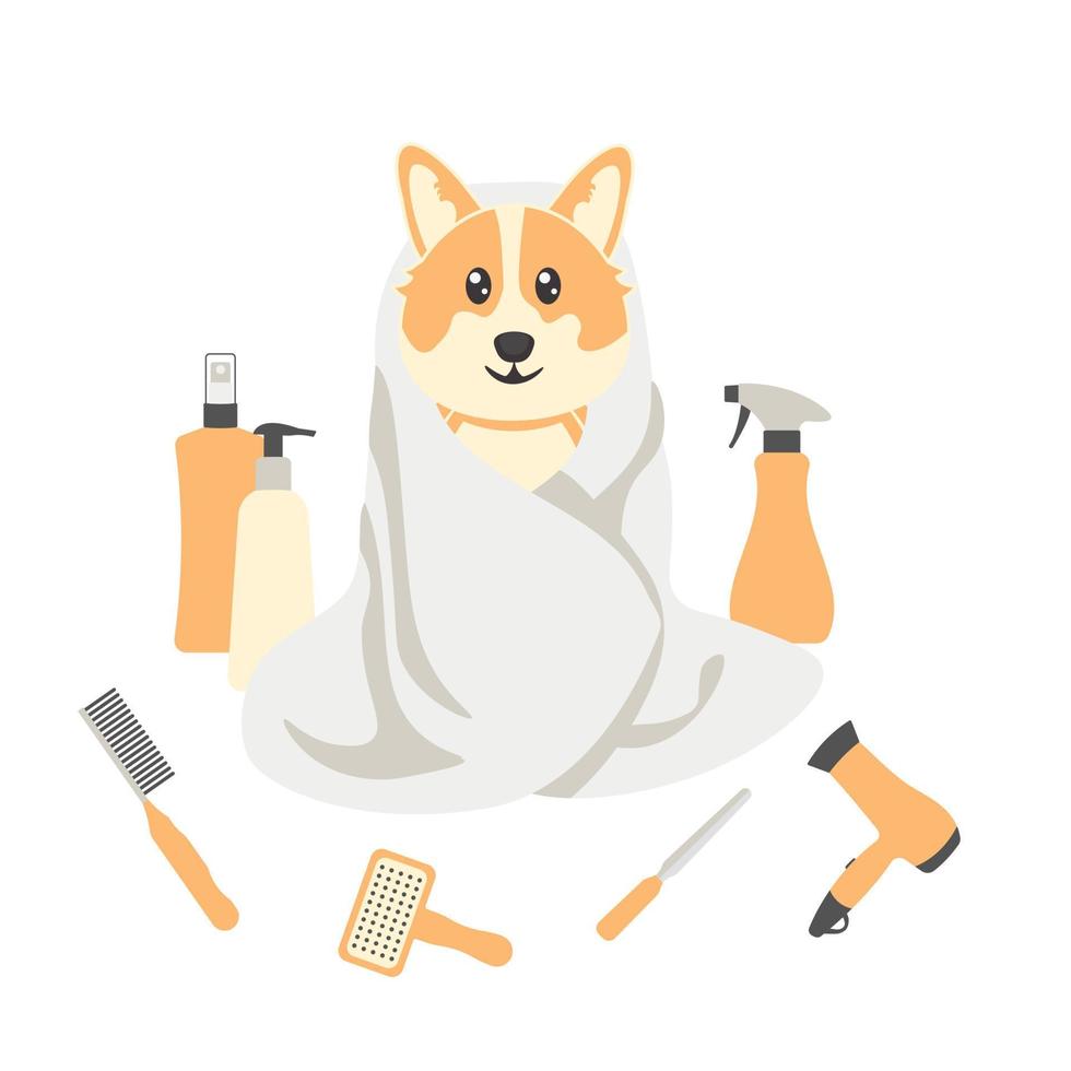 Afiche de aseo de perros sobre fondo blanco con corgi y equipo de aseo. cuidado de mascotas. vector