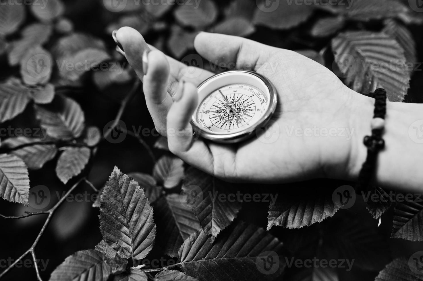 Close-up photo of female hands with compass next to a tree branch.