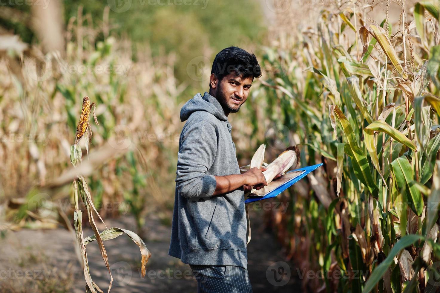 agricultor agrónomo del sur de asia inspeccionando la granja de campo de maíz. concepto de producción agrícola. foto