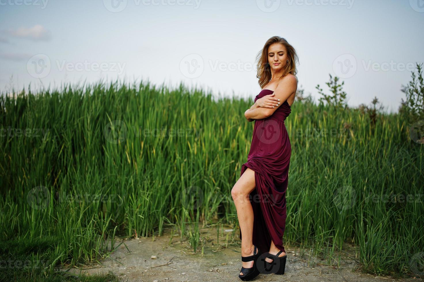 Blonde sensual woman in red marsala dress posing in the reeds. photo