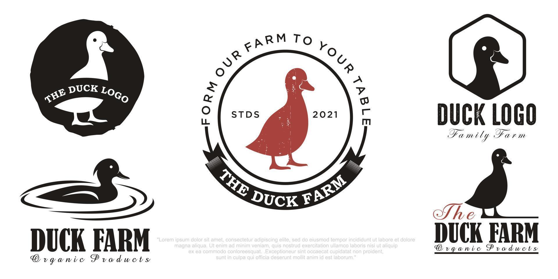 Duck logo vector illustration  icon set design template