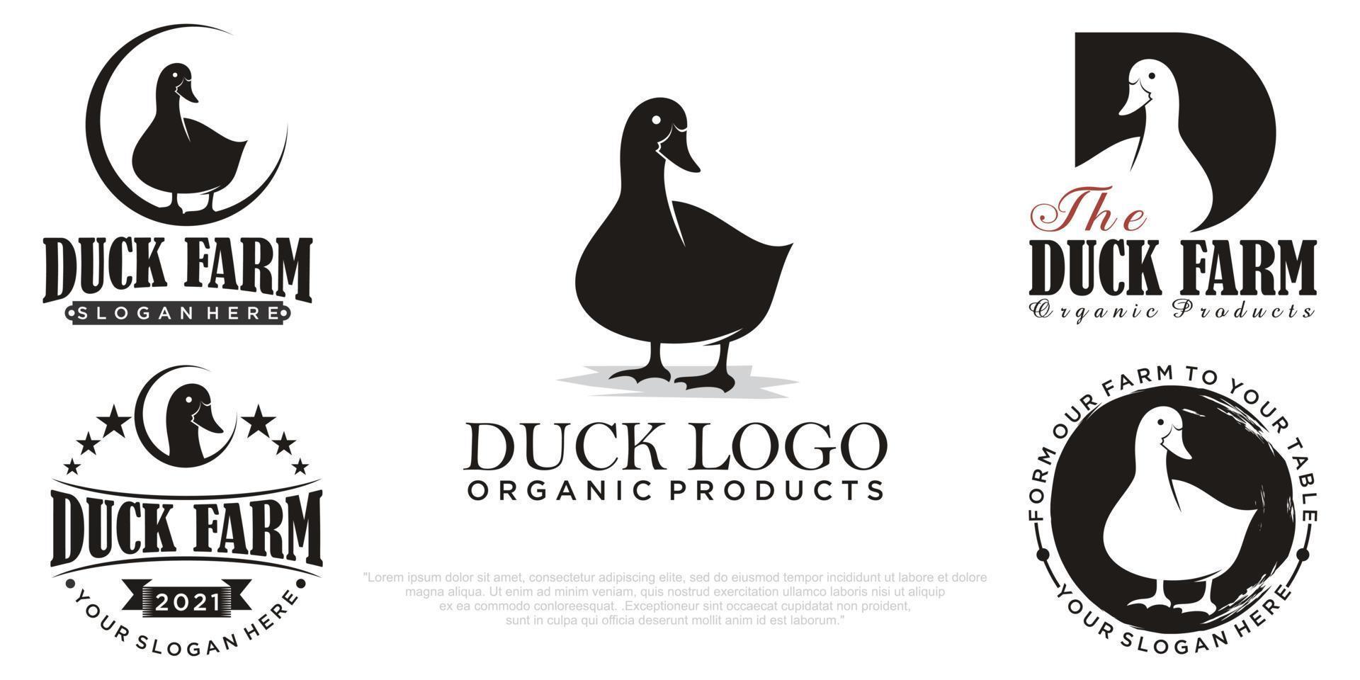 plantilla de vector de logotipo de pato de conjunto de iconos