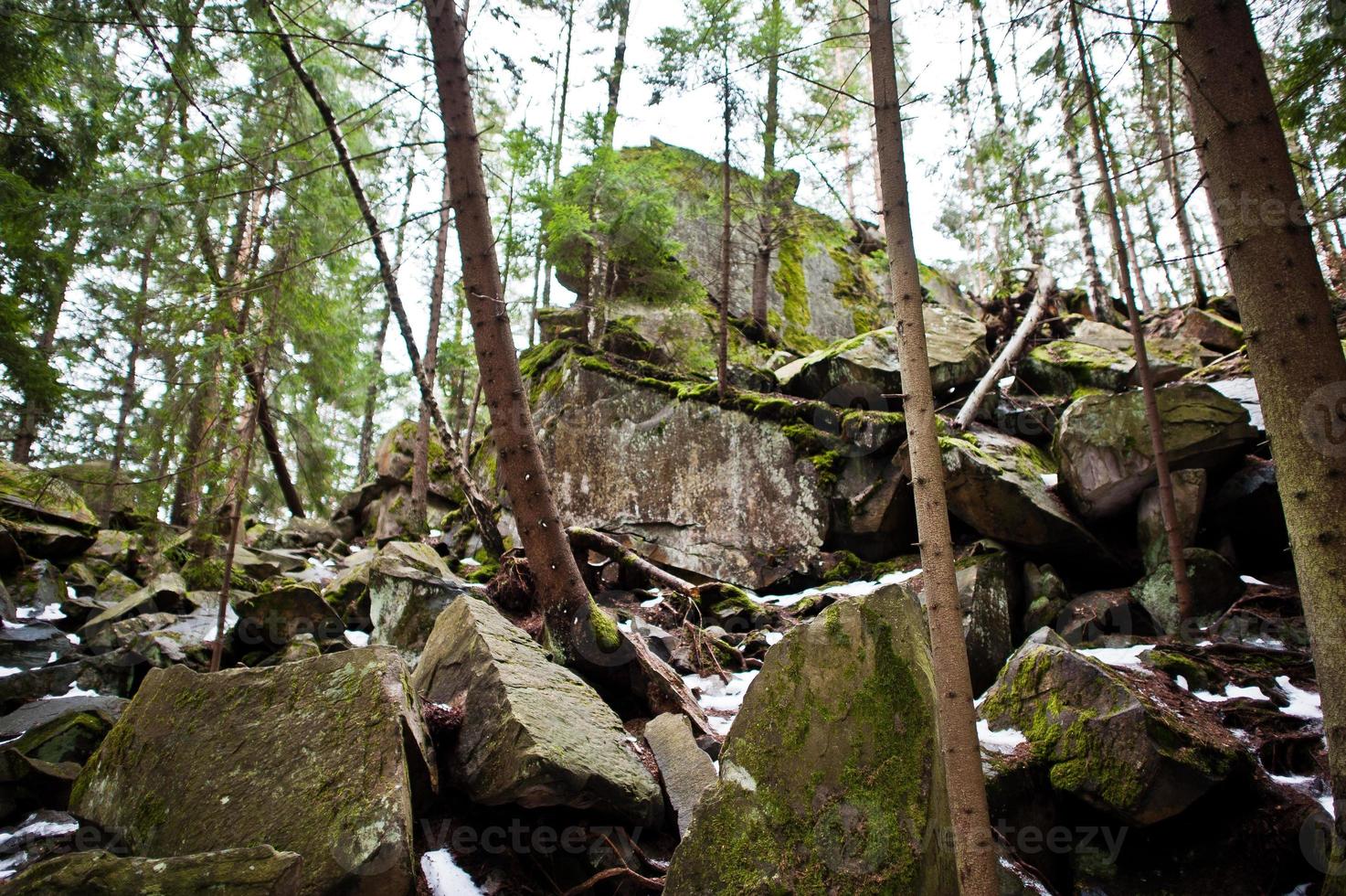 Dovbush rocks in green forest at Carpathian mountains. photo