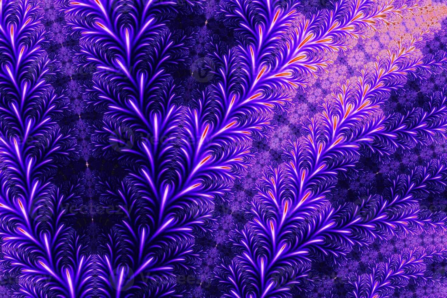 Floral patterns found in the infinite mathematical mandelbrot set fractal photo