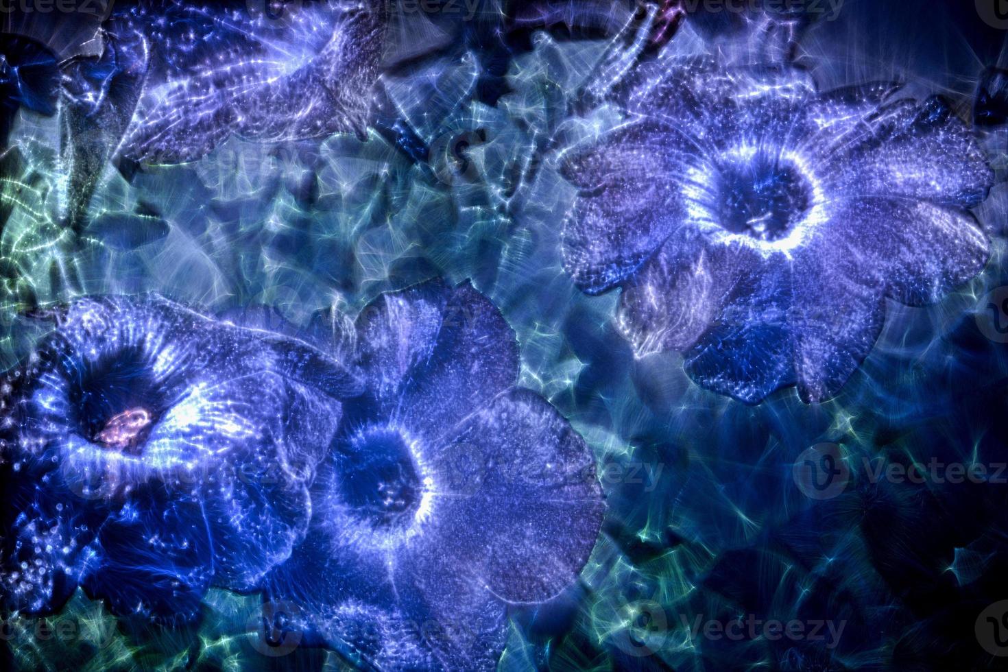 3D-Illustration of spring flowers with a high energy kirlian field glowing in different colors photo