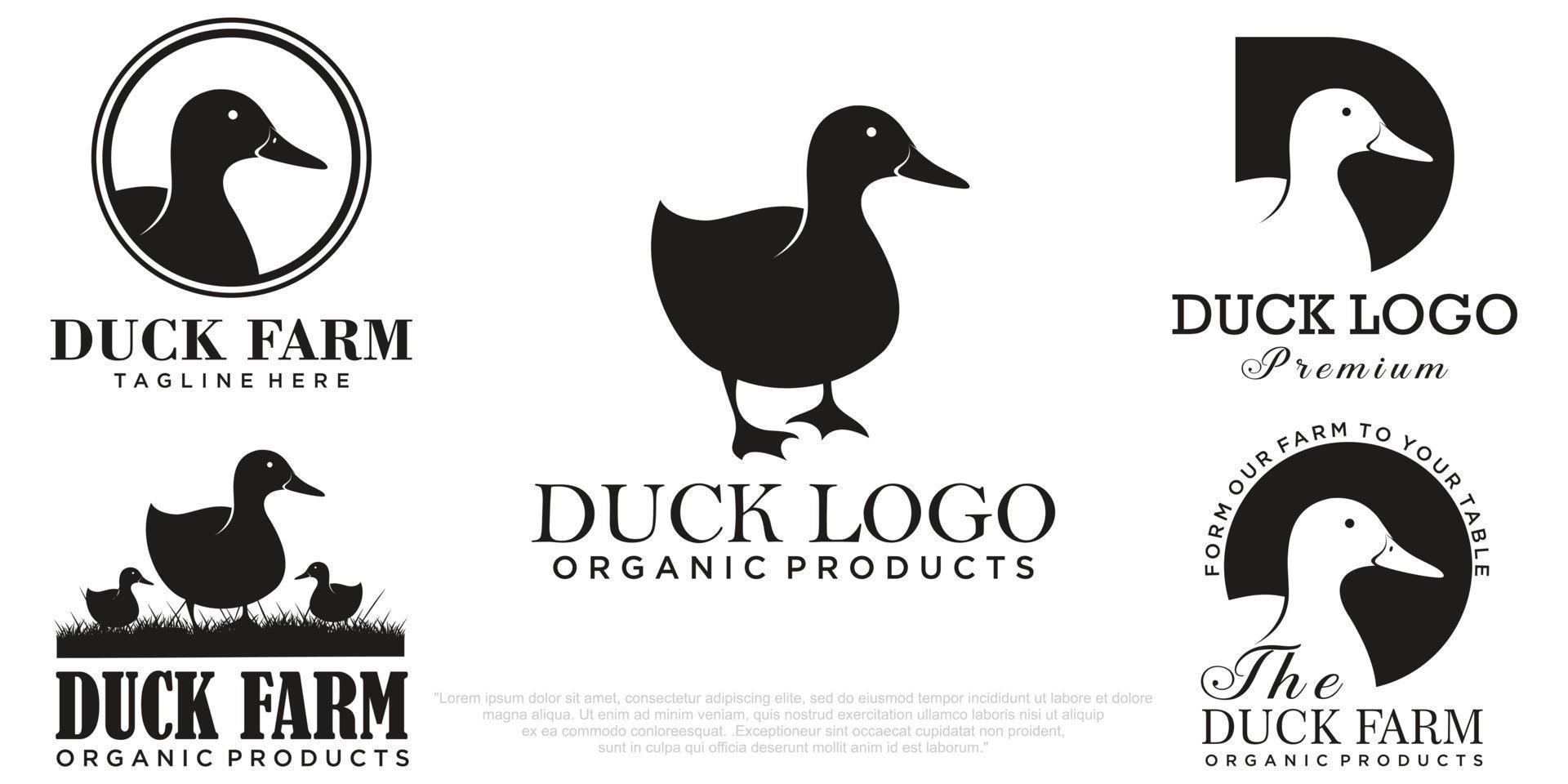 Duck icon set  logo vector illustration design template