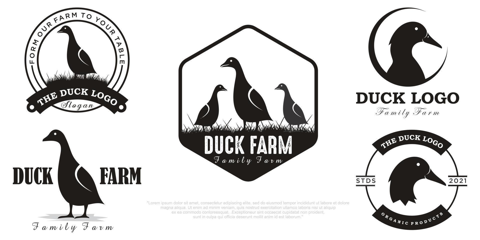 Duck logo. vector duck illustration. Goose icon.