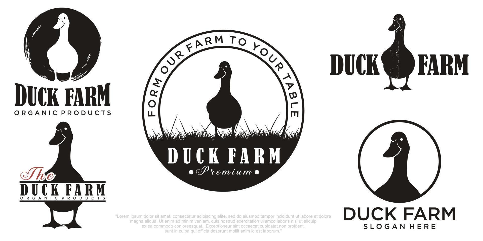 collection of vector animal logos. Duck design Vector