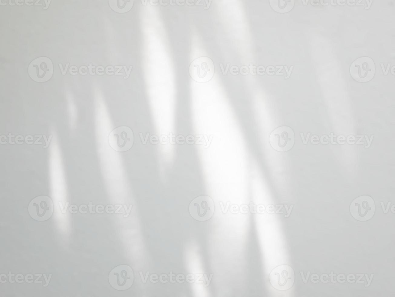 Gray natural shadow of leaves on a white wall photo