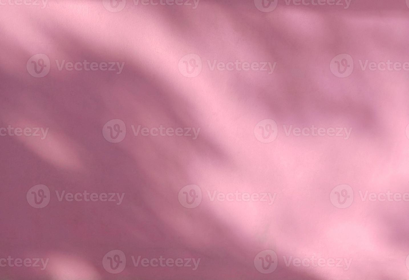 Shadow of leaves on a pink wall background photo