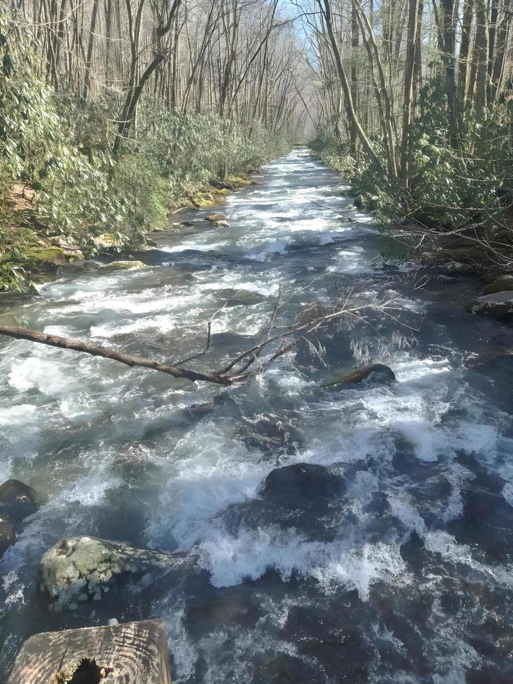 Stream in the Smoky Mountains photo