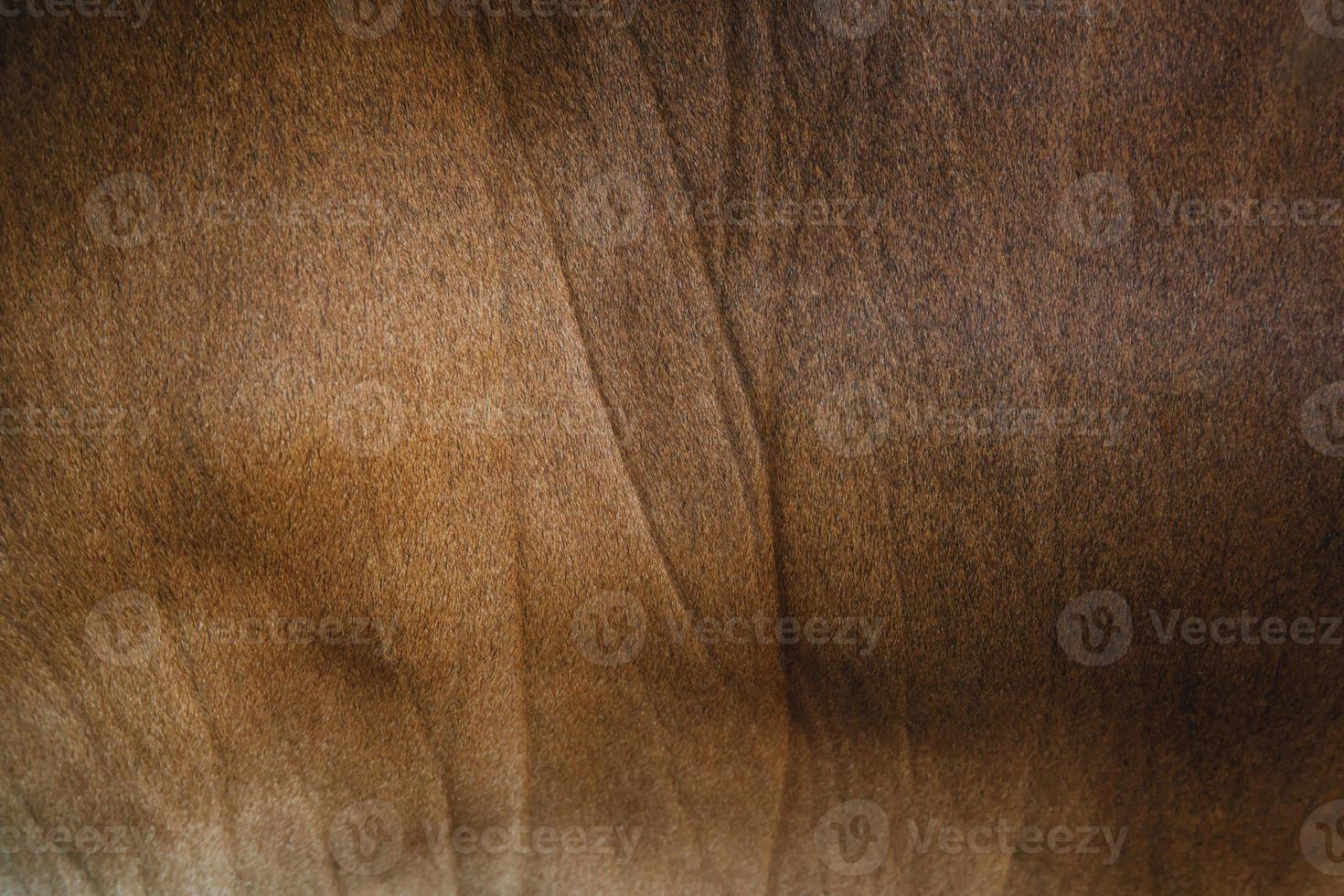 Old vintage brown dark leather texture, close up can be used as