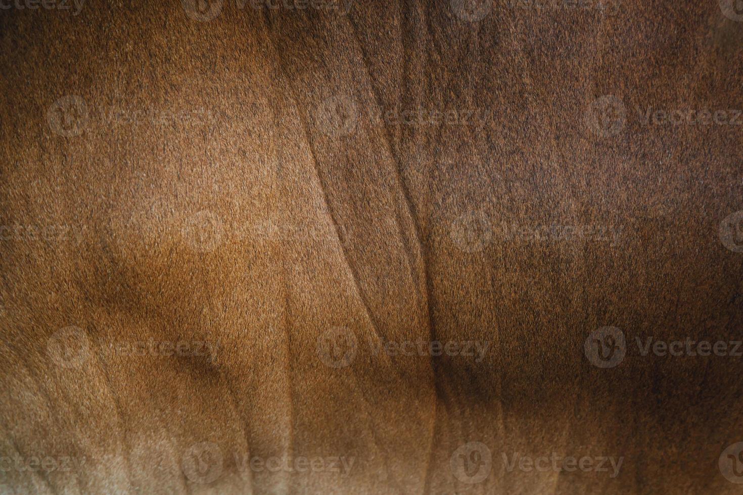 Old vintage brown dark leather texture, close up can be used as background Leather background or leather background, leather texture space. photo