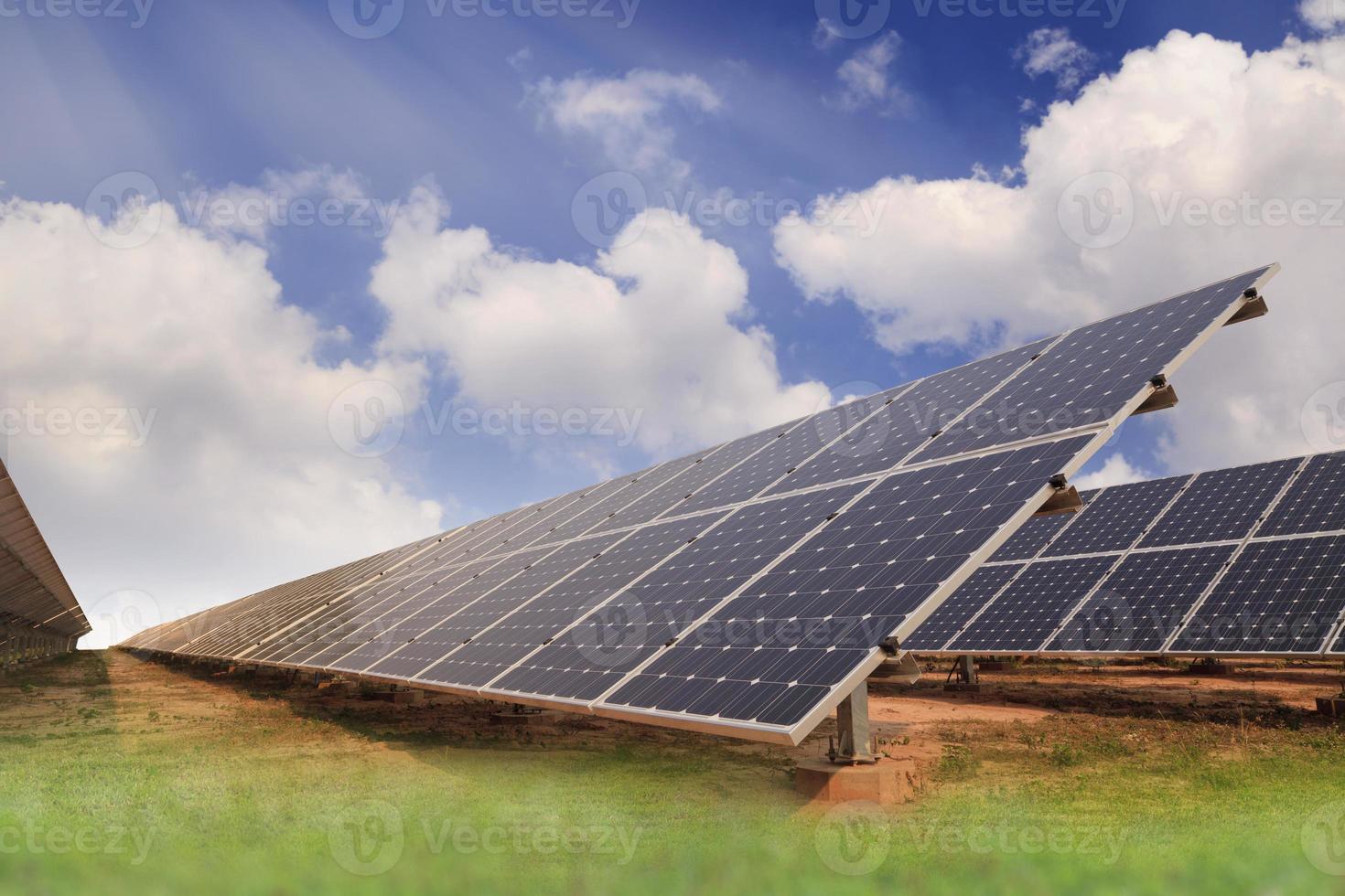 Solar energy plants photo