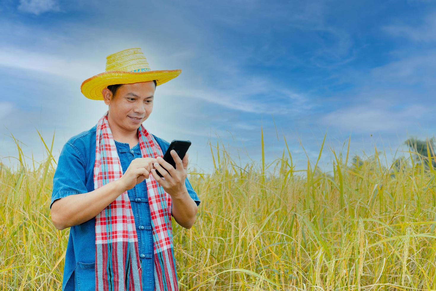 Asian peasants in robes and hats are in a field of golden rice fields. photo