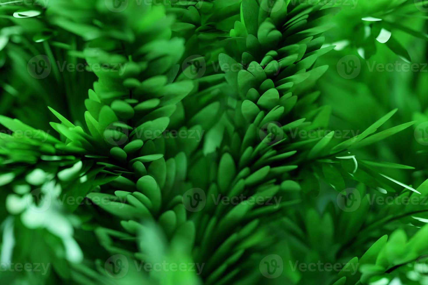 3d illustration  close up of realistic green decorative tree isolated on  green background. Stylized deciduous tree photo