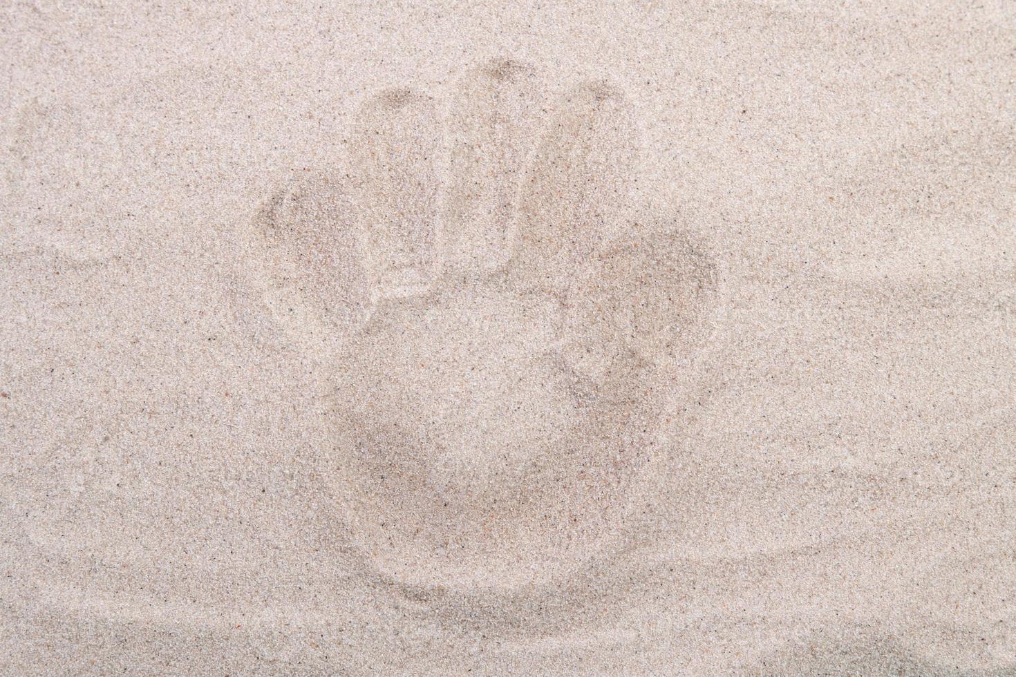 Palm footprint in the sand top view. Sand copy space. Sand background top view. photo