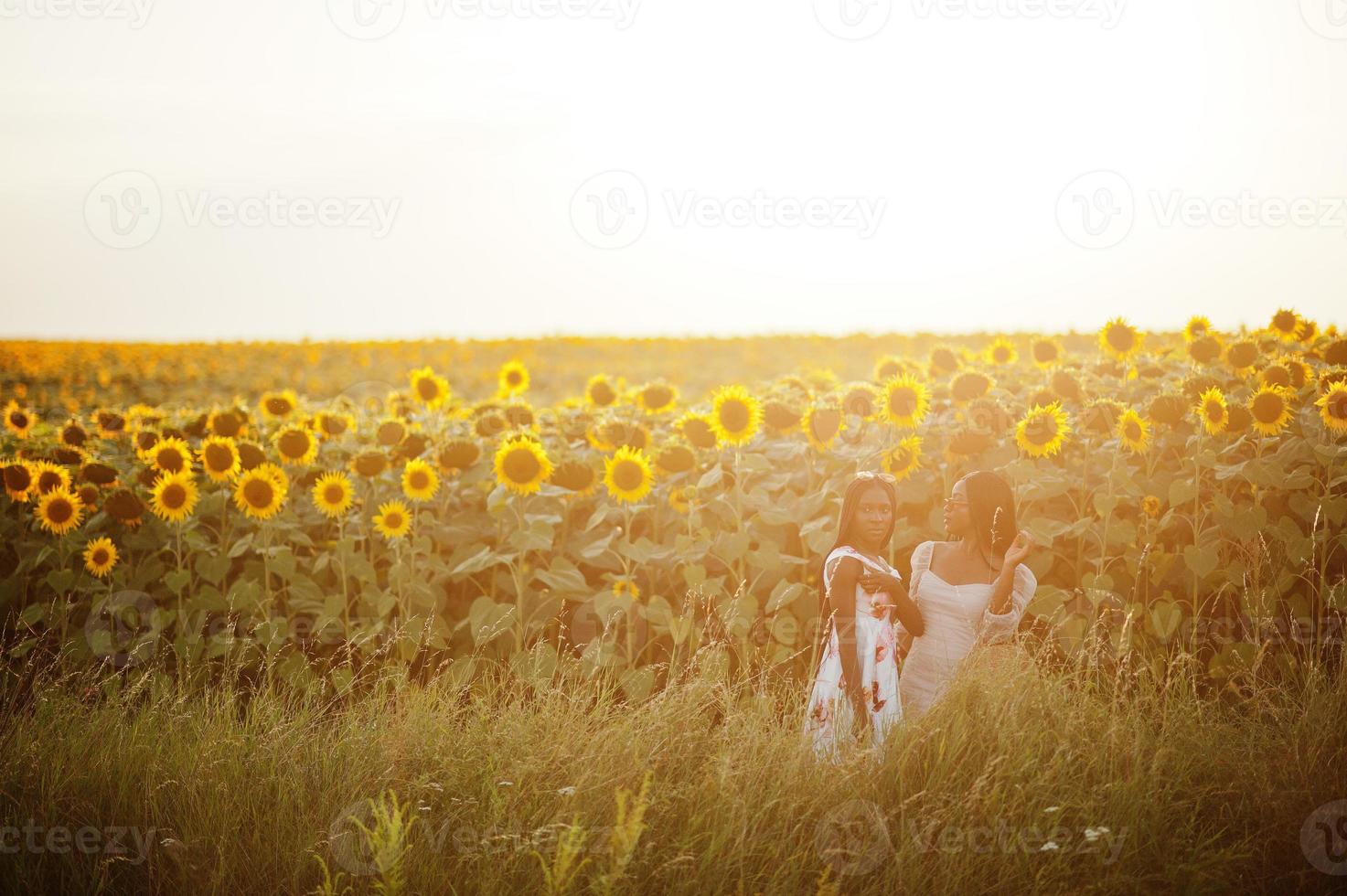 Two pretty young black friends woman wear summer dress pose in a sunflower field. photo