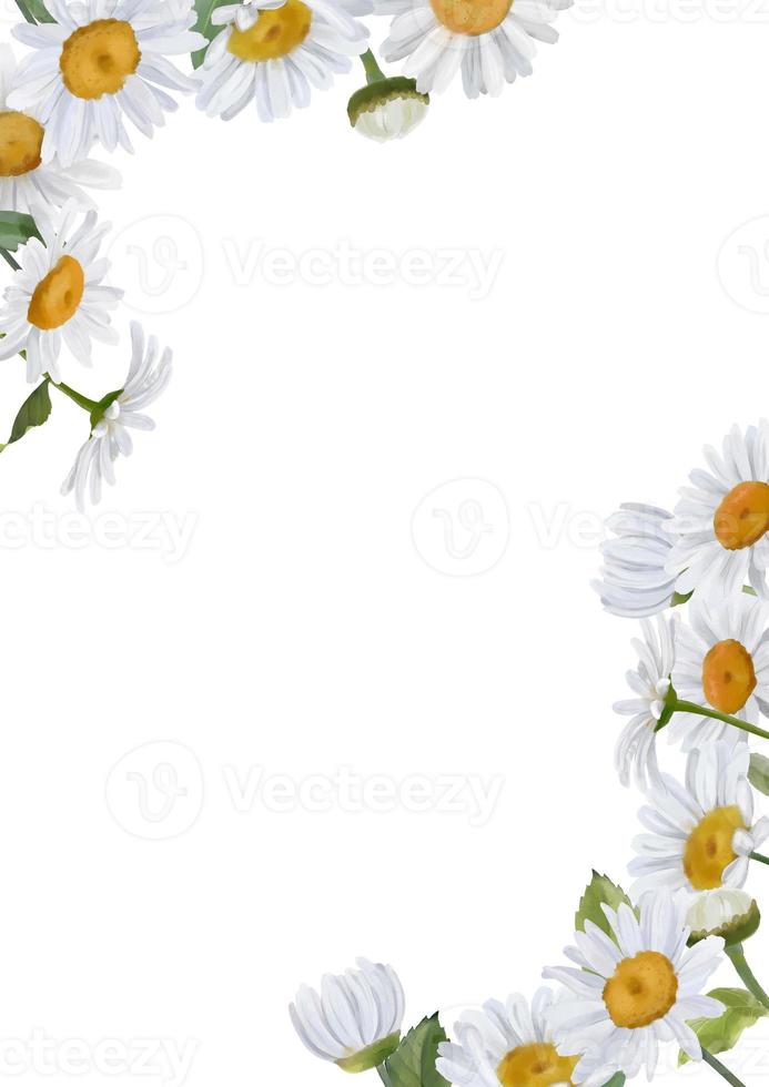 Summer frame of wildflowers, daisies. Floral watercolor background for invitation or greeting card, poster, nature banner, rectangular border. photo