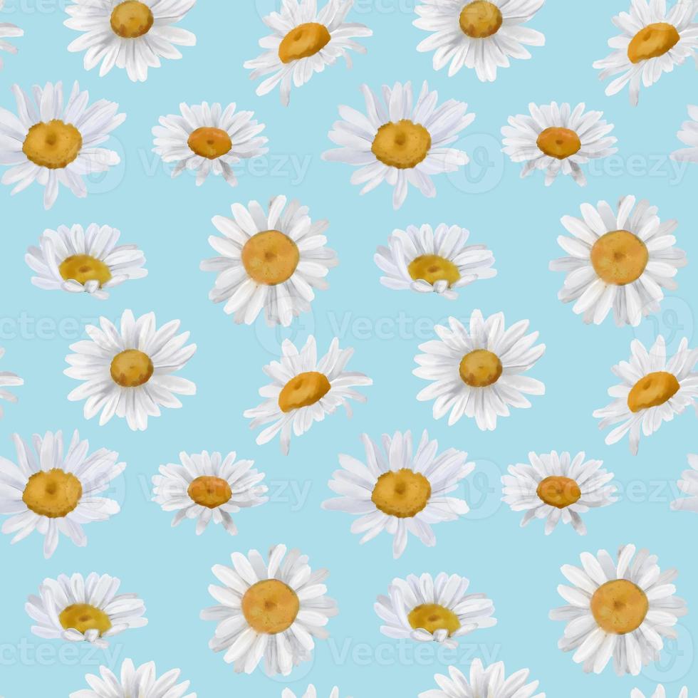 Seamless border with watercolor daisies. Hand drawn botanical drawing. Floral seamless border for fabric, paper and other print and web projects. photo