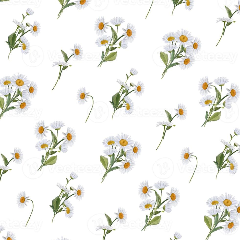 Seamless border with watercolor daisies. Hand drawn botanical drawing. Floral seamless border for fabric, paper and other print and web projects. photo