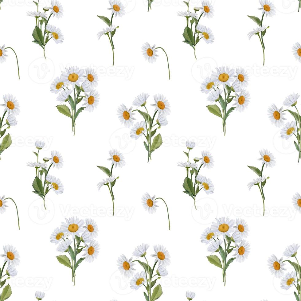 Seamless border with watercolor daisies. Hand drawn botanical drawing. Floral seamless border for fabric, paper and other print and web projects. photo