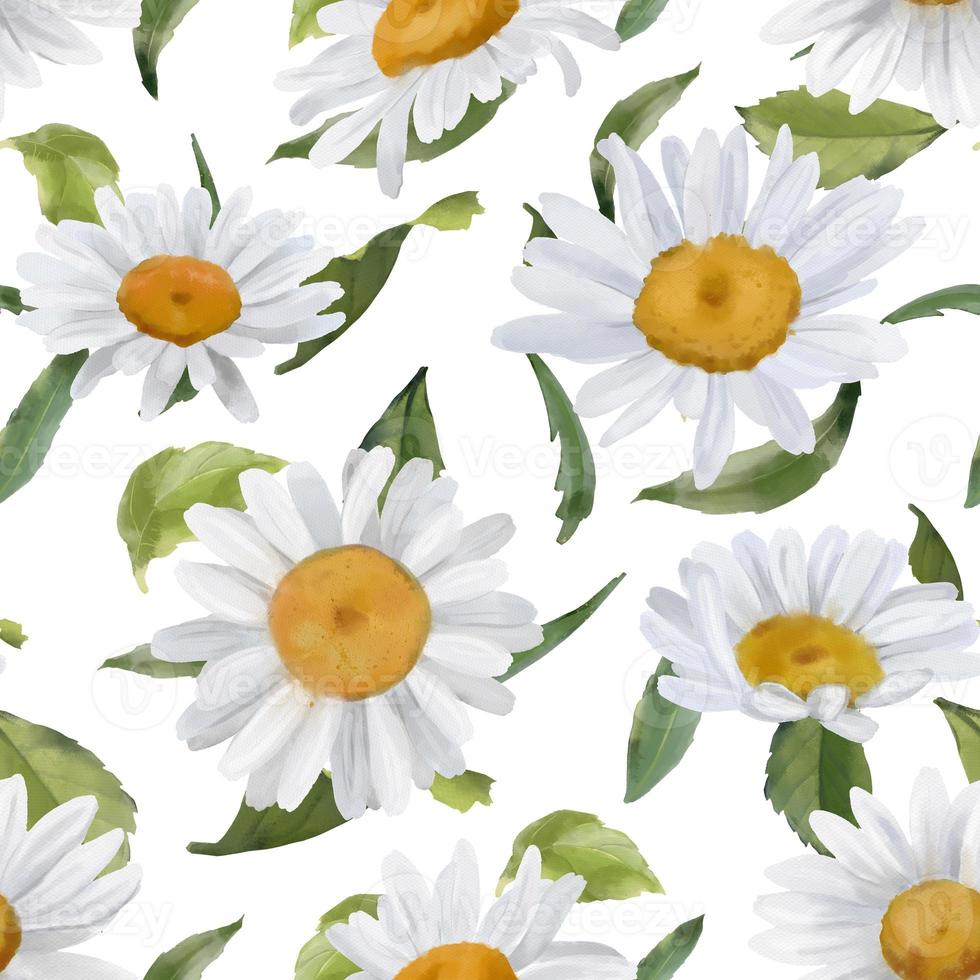 Seamless border with watercolor daisies. Hand drawn botanical drawing. Floral seamless border for fabric, paper and other print and web projects. photo