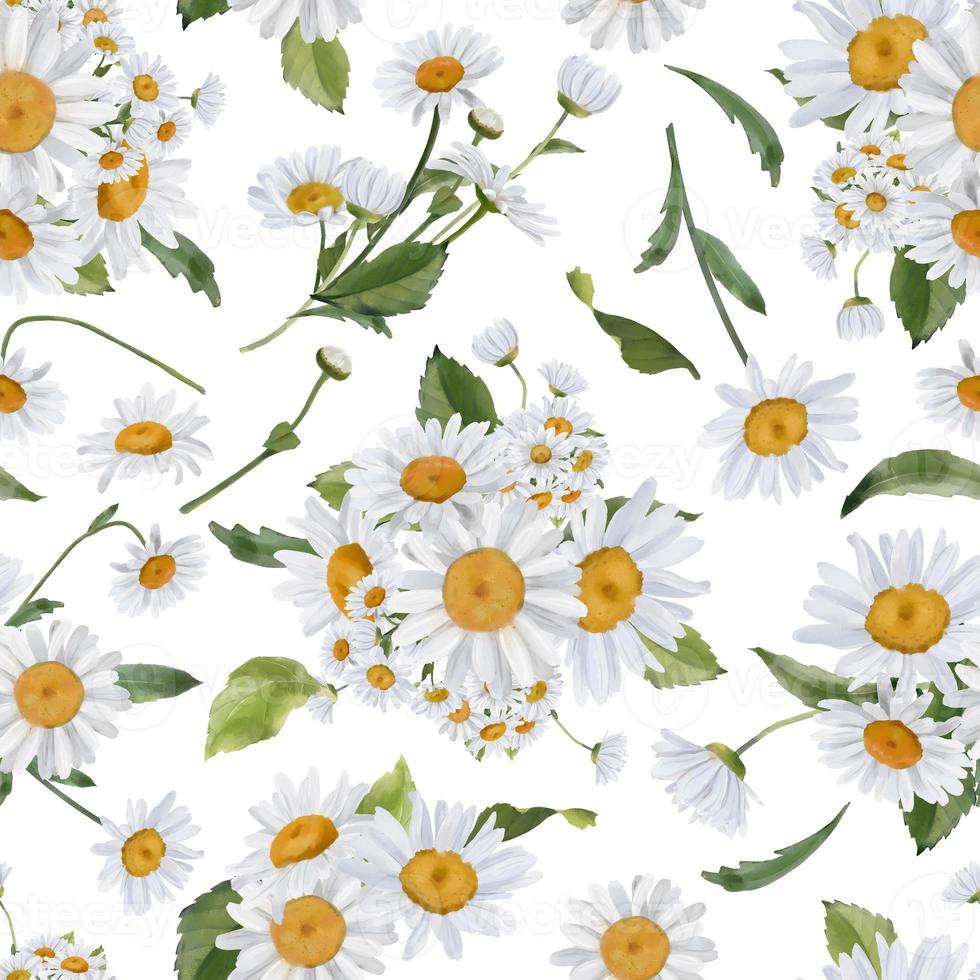 Seamless border with watercolor daisies. Hand drawn botanical drawing. Floral seamless border for fabric, paper and other print and web projects. photo