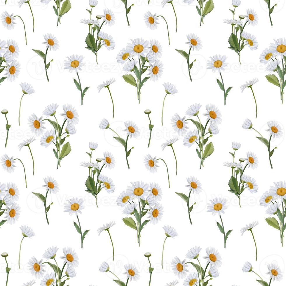 Seamless border with watercolor daisies. Hand drawn botanical drawing. Floral seamless border for fabric, paper and other print and web projects. photo