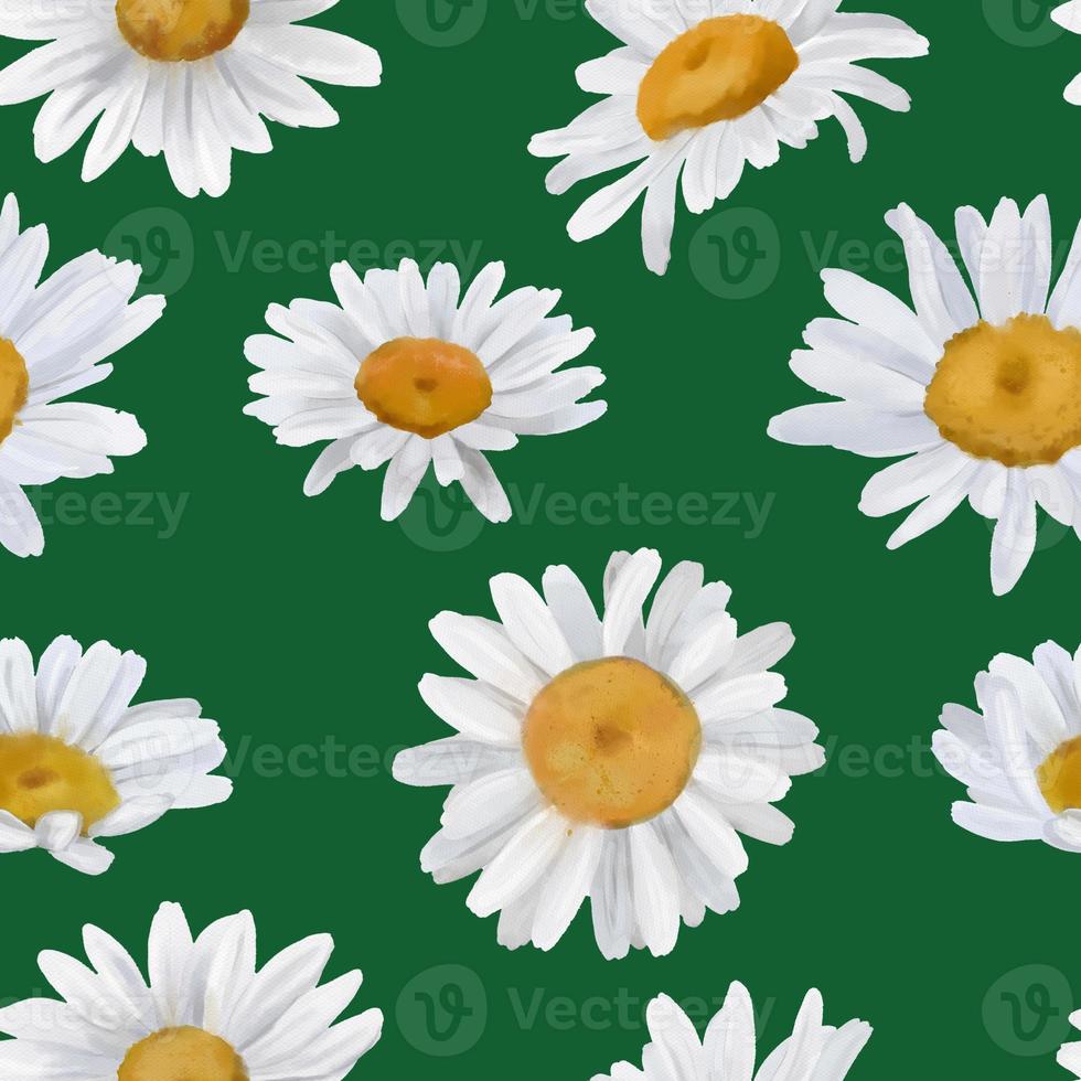 Seamless border with watercolor daisies. Hand drawn botanical drawing. Floral seamless border for fabric, paper and other print and web projects. photo