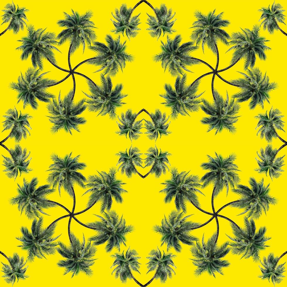 Green palm leaves pattern for nature concept,tropical coconut tree isolated on yellow background photo